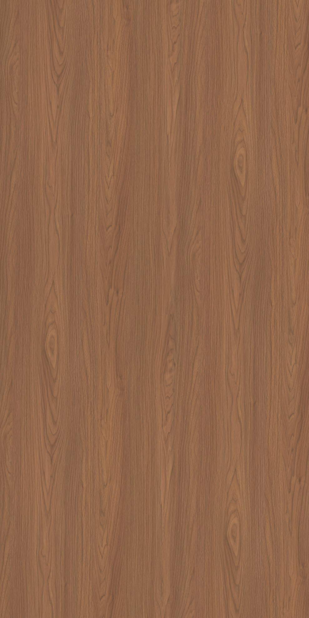 9038 - Globe Walnut
